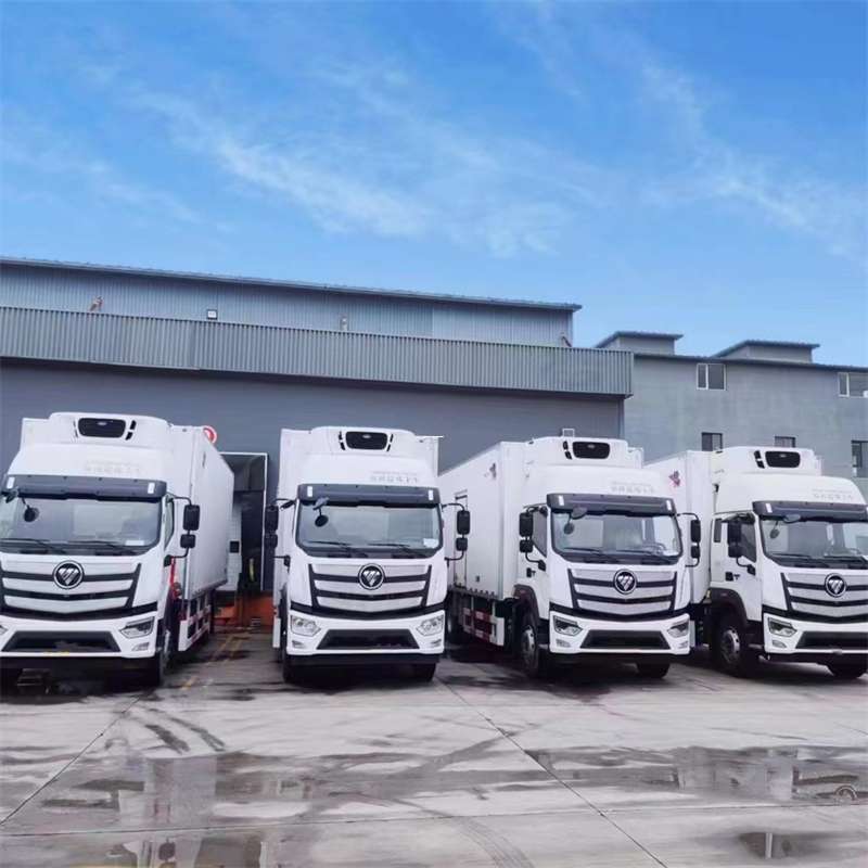 香格里拉市新龙县进仓物流：多元专线直达运输探秘